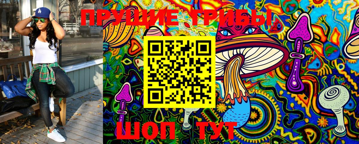 Псилоцибиновые грибы MAGIC MUSHROOMS  Вход с VPN  Богородицк 